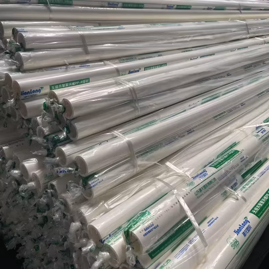 Tuyau PPR de qualité supérieure/PPR/PVC/CPVC /Tuyau d'eau chaude Pph PN16 20